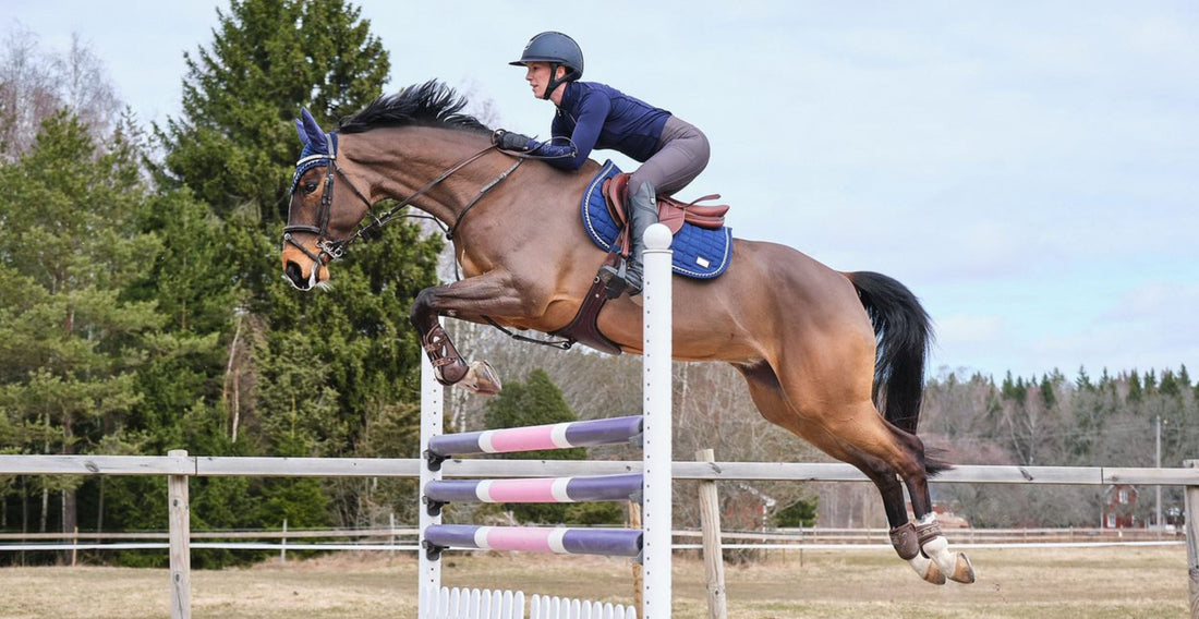 Helena hoppar med sin bruna häst. Text på: Showjumper Helena Tunón