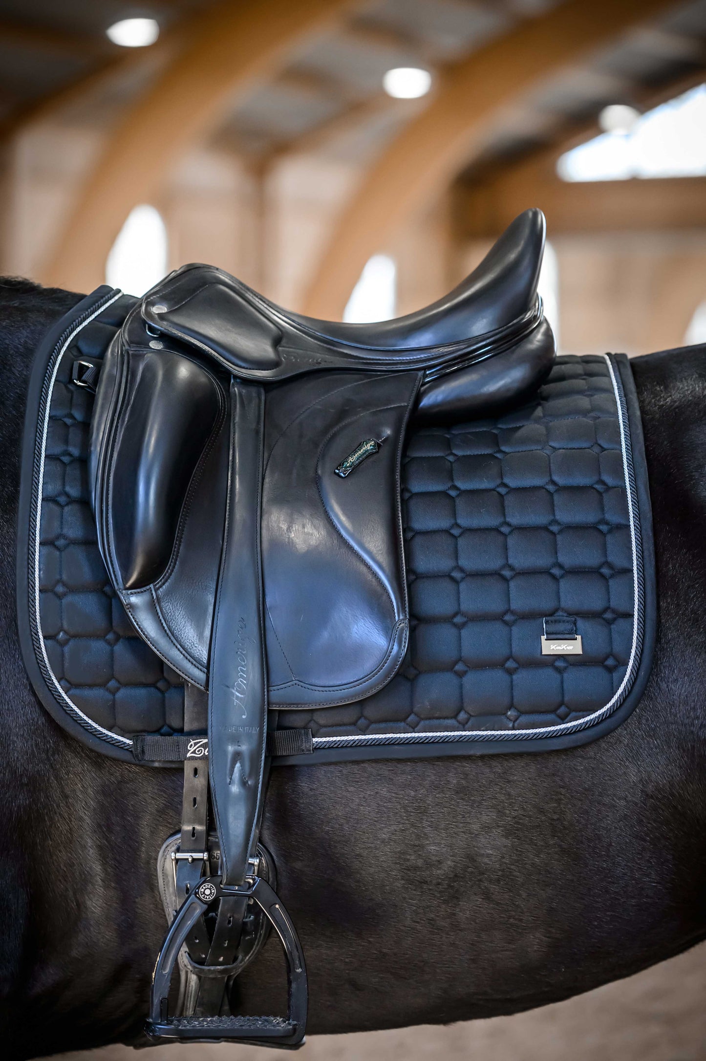 Dressage Black Edition