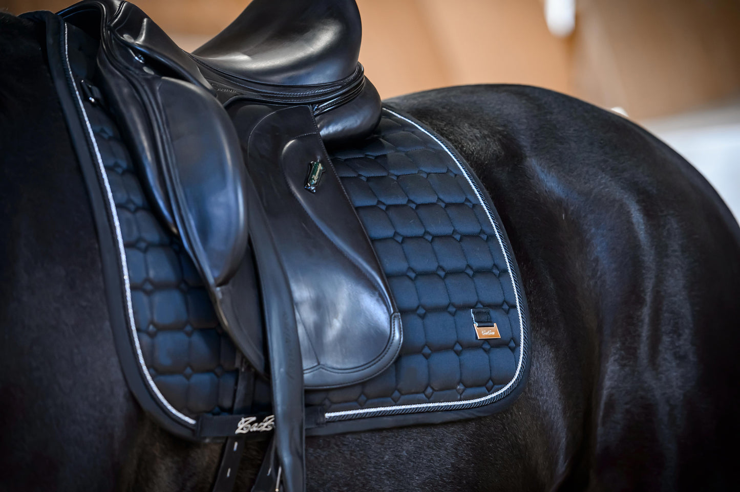 Dressage Black Edition